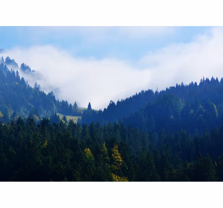 Natur fototapet bjerge og tåge - TenStickers