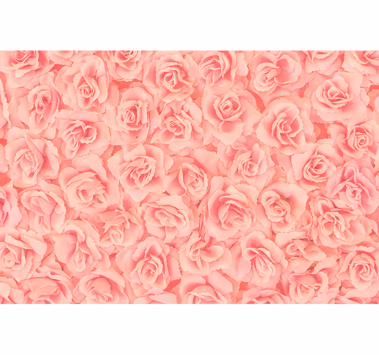 Lys pink realistisk rosemønster fototapet - TenStickers
