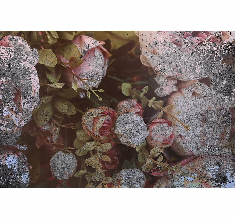 Fototapet blomster roser og blade - TenStickers