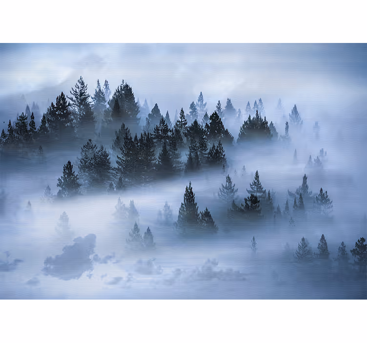 Natur fototapet tåget eviggrøn skov - TenStickers