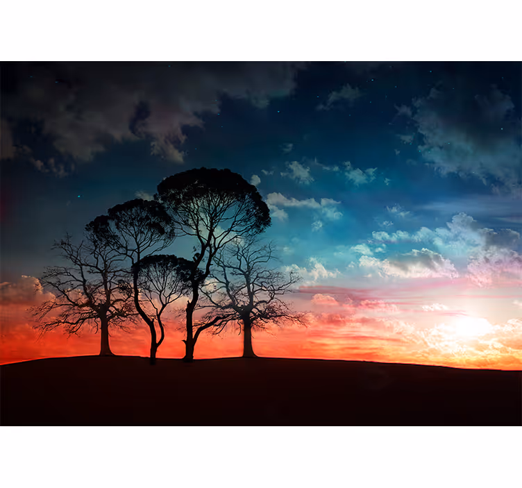 Fototapet træ silhuettræ solnedgang - TenStickers
