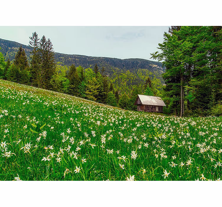 Natur fototapet rolig landlig udsigt - TenStickers