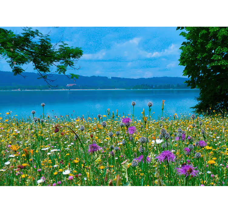 Fototapet blomster frodig engflora - TenStickers