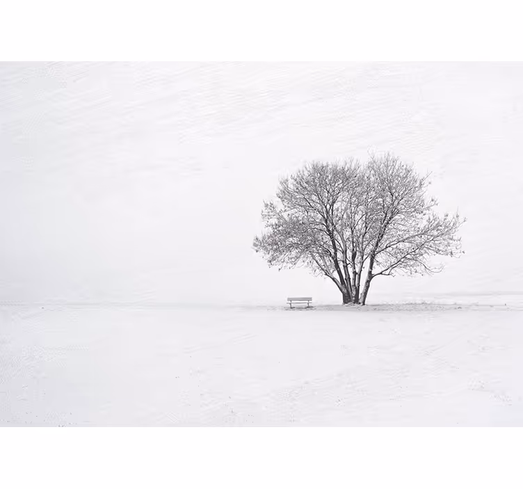 Skandinavisk stil vinter skov træ fototapet - TenStickers