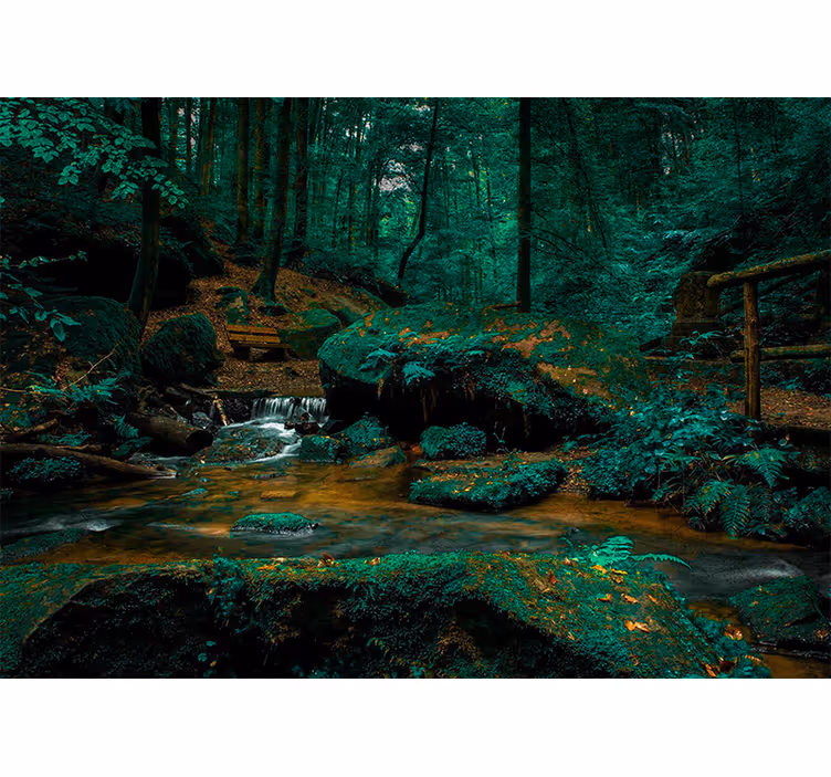 Fototapet skov rolig skov bæk - TenStickers