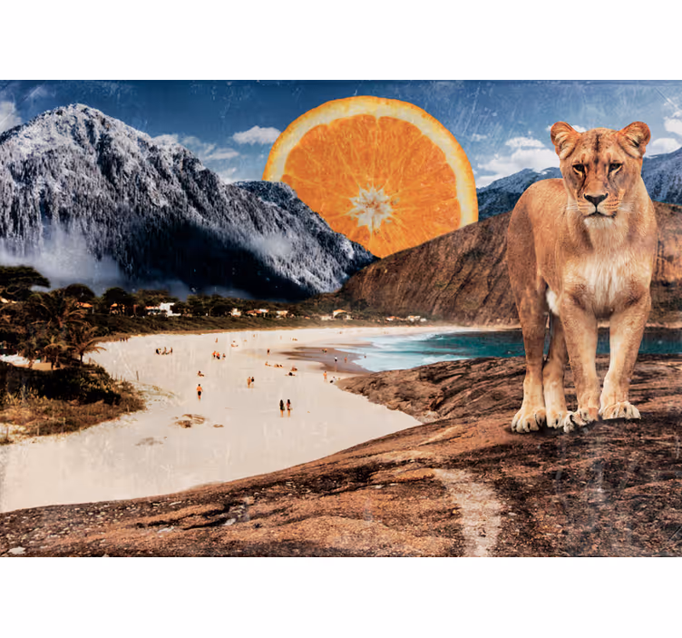 Fototapet dyr løve strand scene - TenStickers