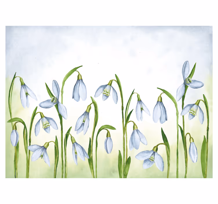 Smukke vintergækker blomsterdesign fototapet - TenStickers