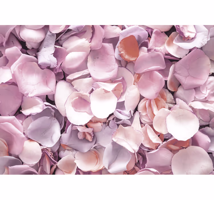 Fototapet blomster rosenblad tæt på - TenStickers