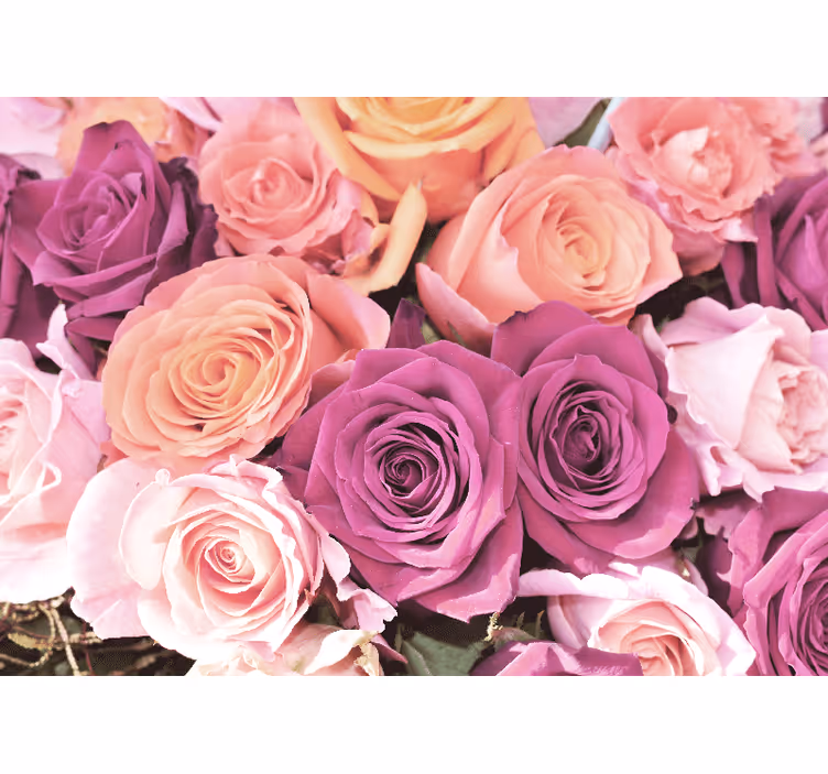Fototapet blomster rosenbuket nærbillede - TenStickers
