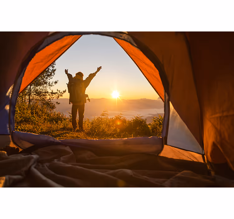 Natur fototapet solopgangs eventyr glæde - TenStickers