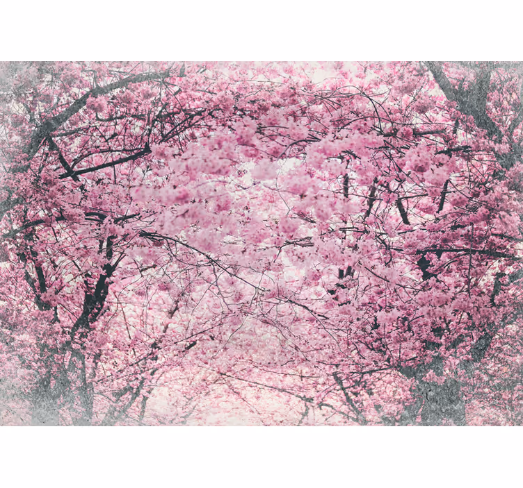 Fototapet blomster kirsebærblomstlund - TenStickers