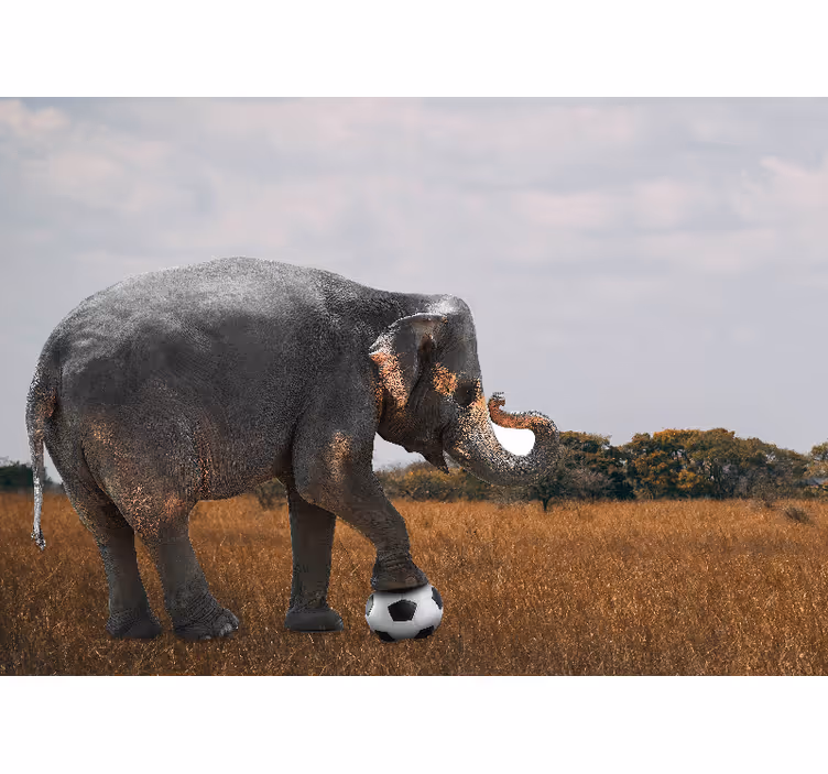 Fototapet elefant der spiller fodbold - TenStickers