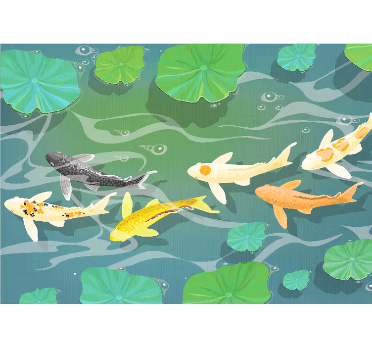 Fototapet dyr koi fiskedam - TenStickers