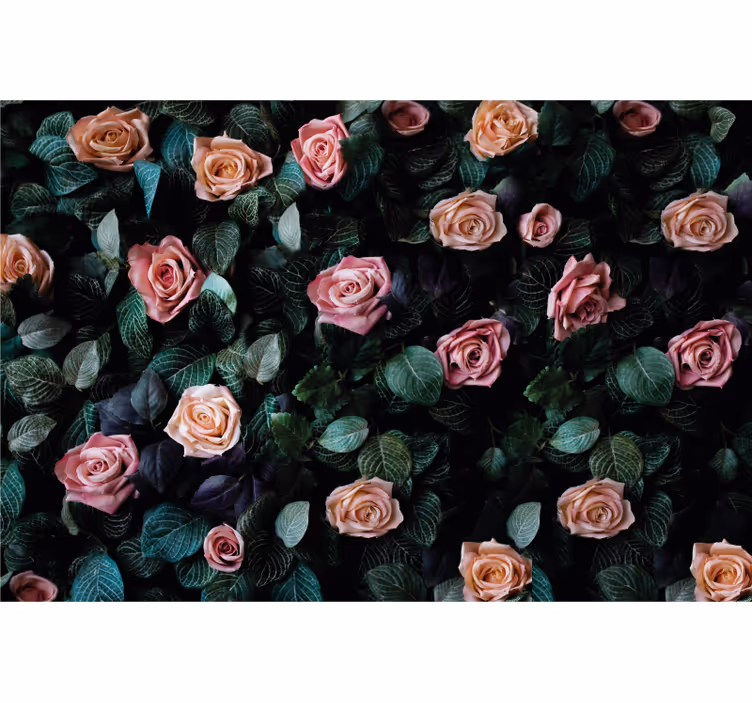Fototapet blomster rosen og foliage - TenStickers