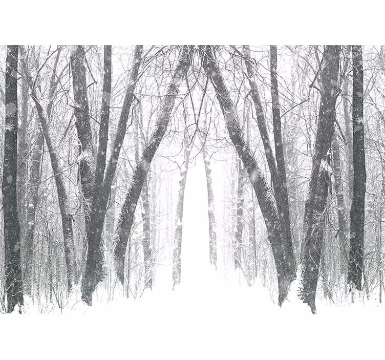 Vinter træer skov stue fototapet - TenStickers