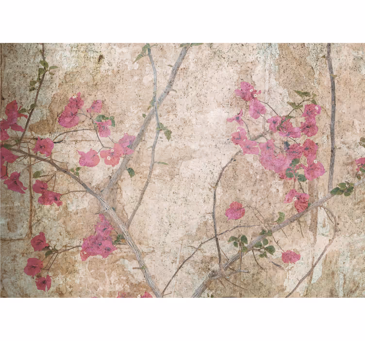 Fototapet blomster pink bougainvillea blomster - TenStickers