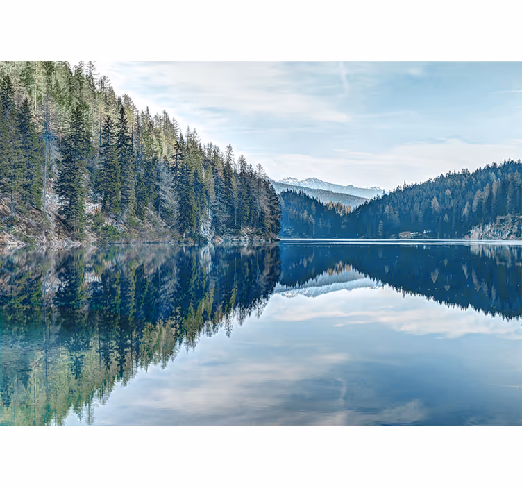 Skov flod natur fototapet - TenStickers