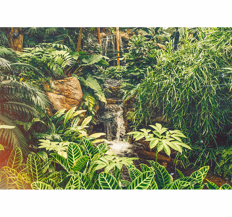 Tapet natur livlig tropisk oase - TenStickers