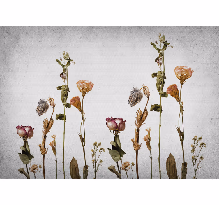Fototapet blomster tørrede blomsterarrangement - TenStickers