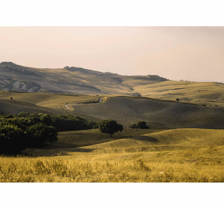 Marker af toscana landskab fototapet natur - TenStickers