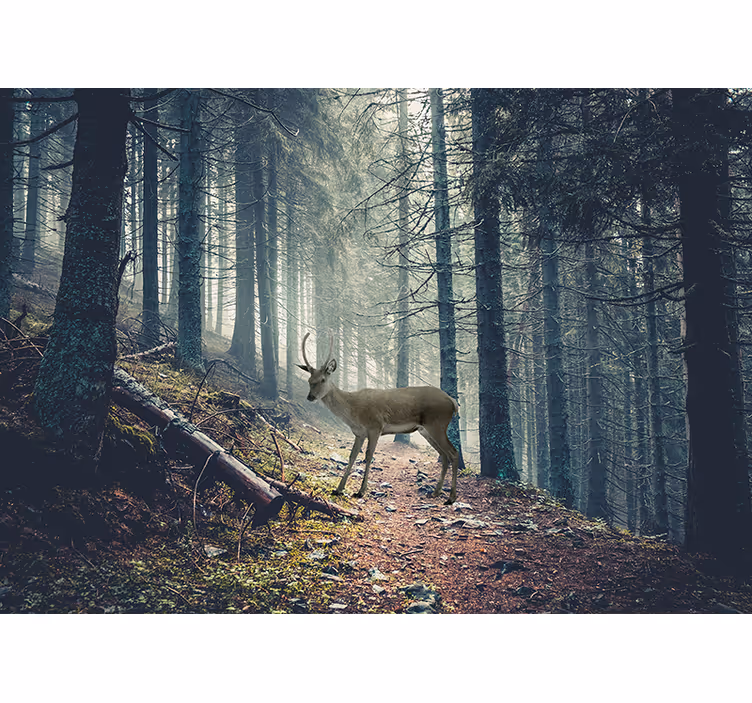 Fototapet skov hjort i skoven - TenStickers