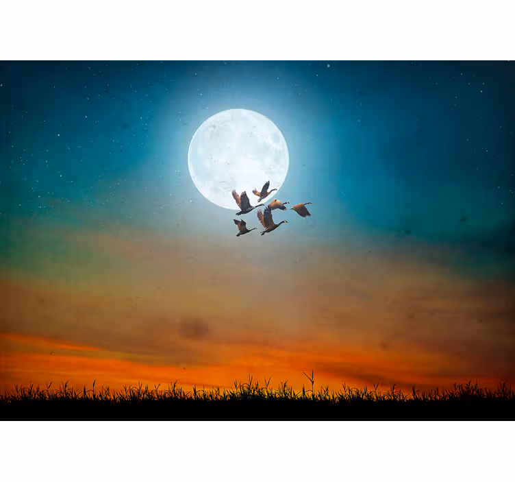 Natur fototapet måneskins himmel flock - TenStickers