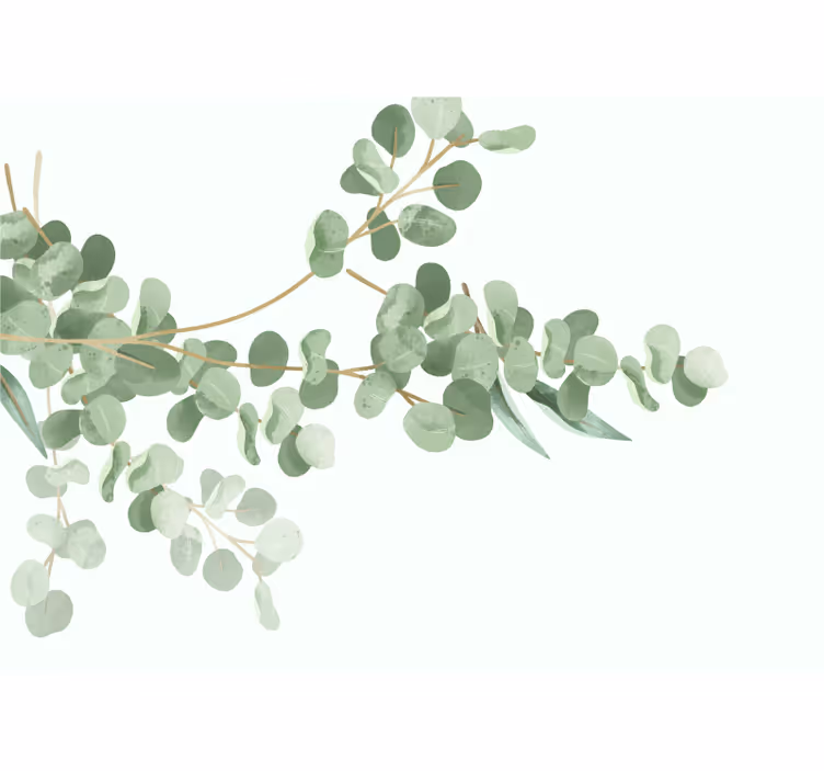 Solsikke fototapet eucalyptusblad arrangement - TenStickers