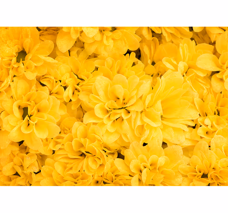 Blomsterblade fototapet i gul - TenStickers