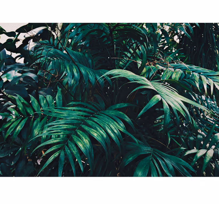 Amazoniske tropiske planter natur fototapet - TenStickers