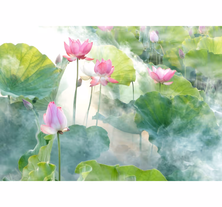 Fredelige lotusblomster fototapet - TenStickers