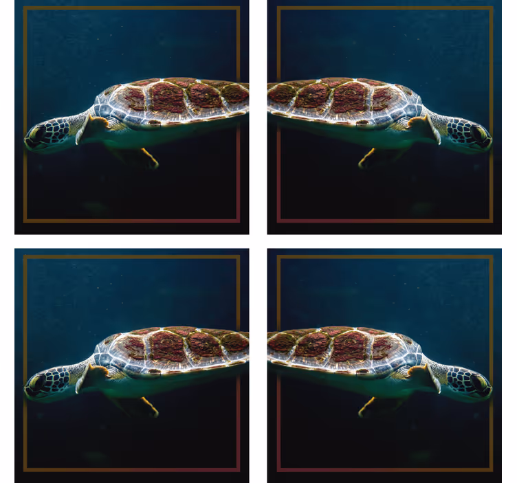 Moderne coaster med elegant havskildpadde billede - TenStickers