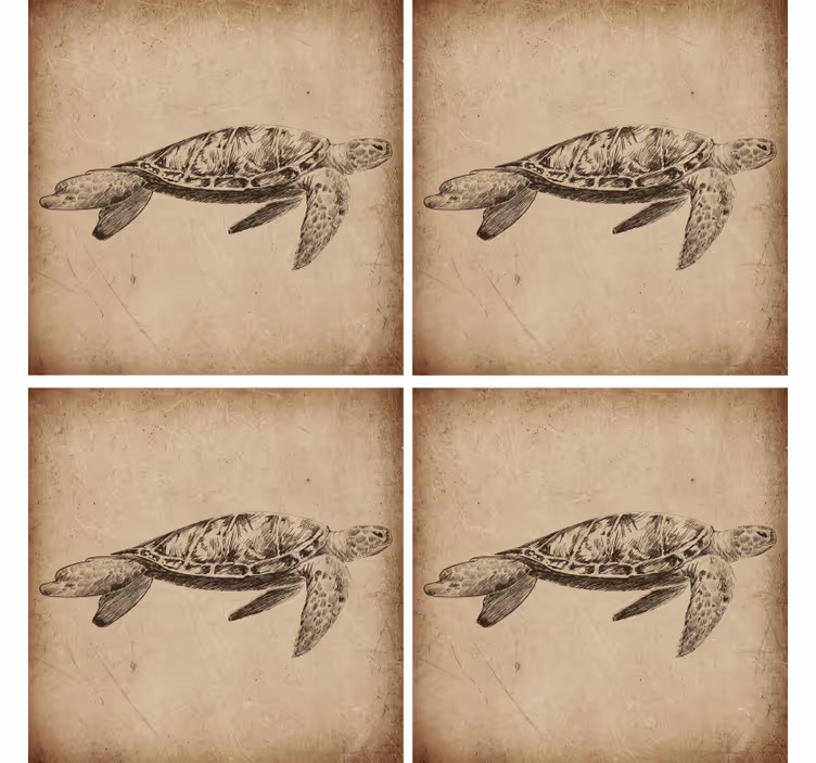 Skildpadde illustration vintage coaster - TenStickers