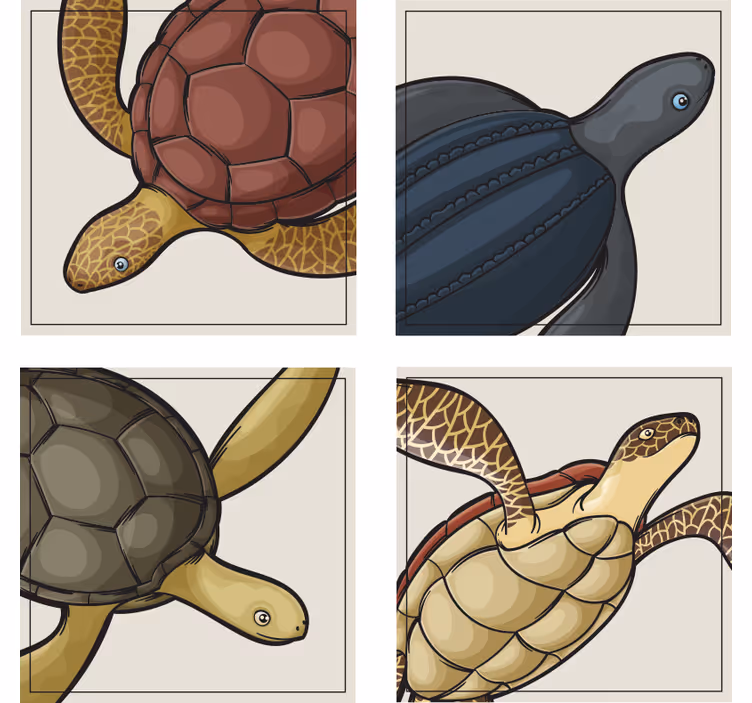 Skildpadder dyr fliser coaster sæt - TenStickers