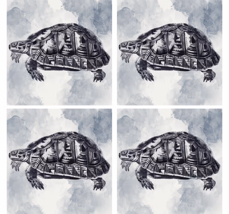 Vintage skildpadde dyr coaster - TenStickers