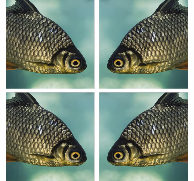Skør coaster med realistisk fiskeillustration - TenStickers