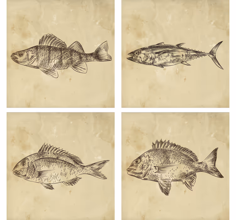 Skør coaster med fantasifuld fisk illustration - TenStickers