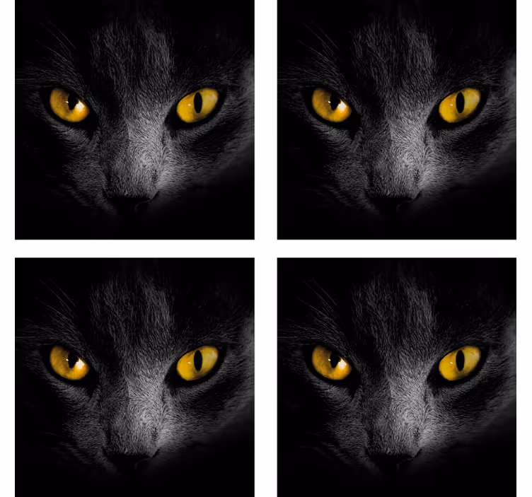 Sort kat halloween coaster - TenStickers