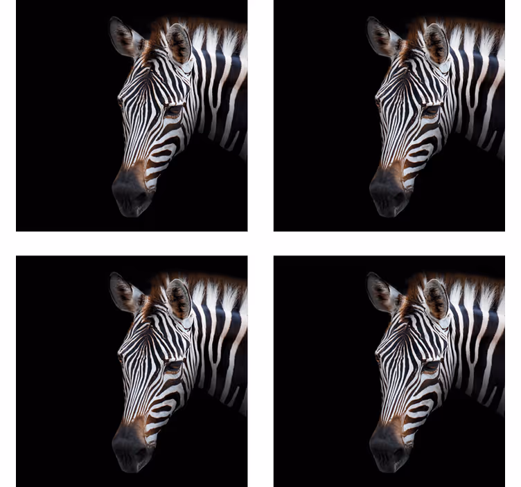 Moderne coaster med zebra hoved illustration - TenStickers