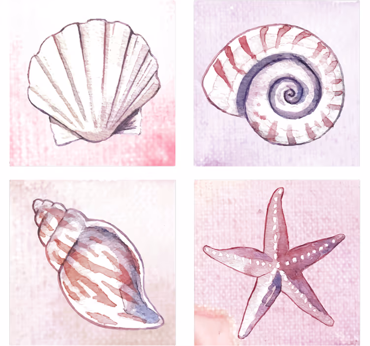 Coaster natural shell vandfarver - TenStickers