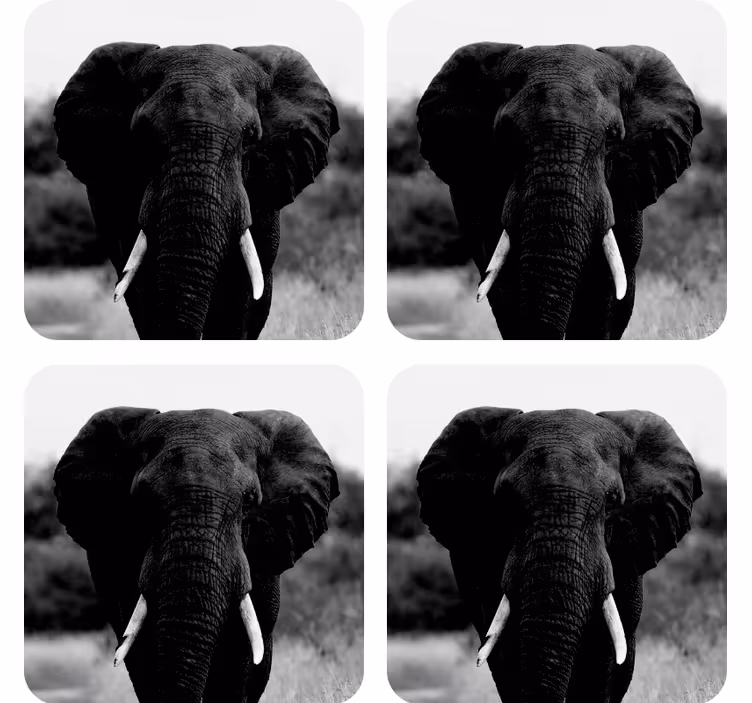 B & w elefanthoved moderne coaster - TenStickers