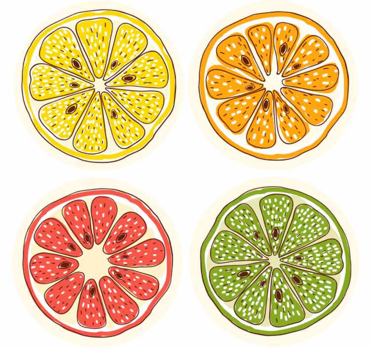 Citrus skive motiver skør coaster - TenStickers