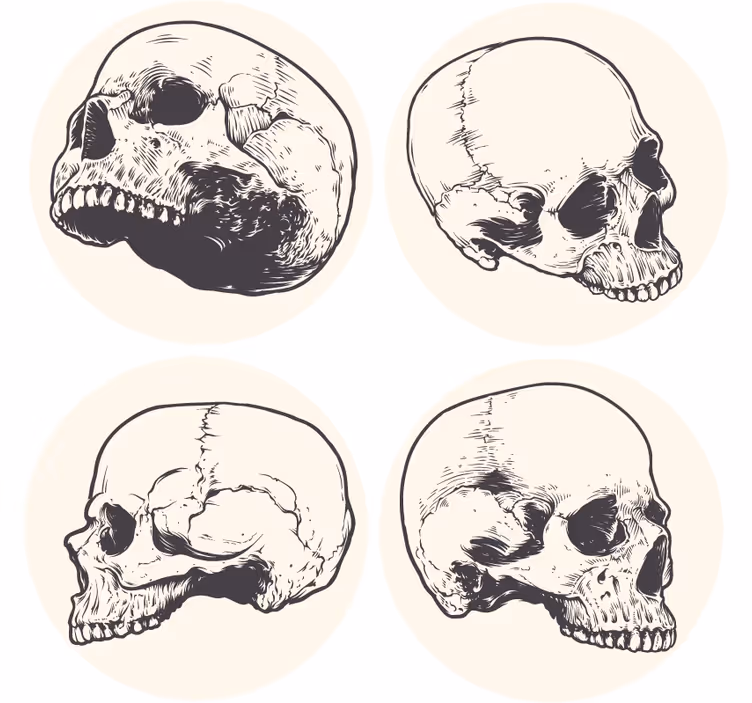 Kranium, tegning, halloween, coaster - TenStickers