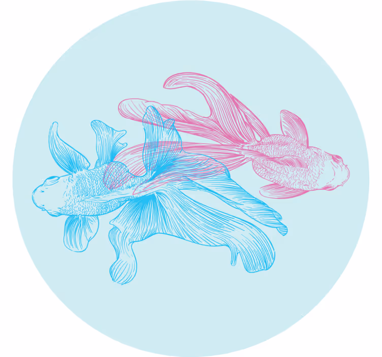 Skør coaster med tofarvede fisk illustrationer - TenStickers