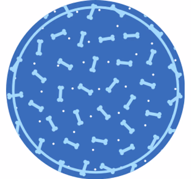 Fantastisk blå baggrund knogler moderne coaster - TenStickers