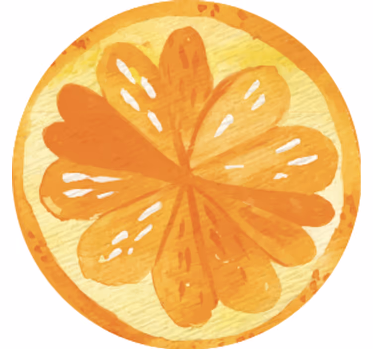 Grapefrugt og appelsinskiver moderne coaster - TenStickers