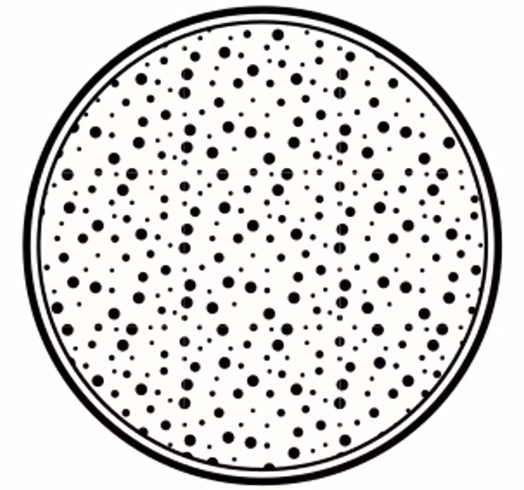 Coaster med sort prikket mønster - TenStickers