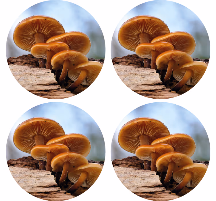 Moderne coaster svampekluster arrangement - TenStickers