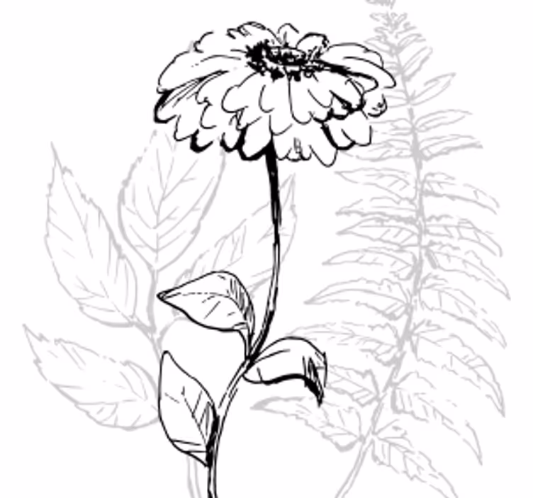 Coaster botanisk linjekunst - TenStickers