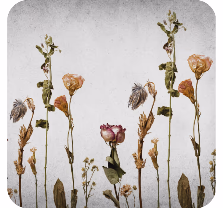 Coaster med tørret blomsterarrangement - TenStickers