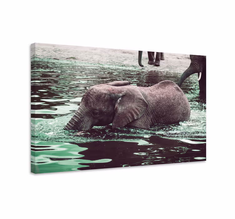 Elefant lærredsbillede drikkende baby elefanter - TenStickers
